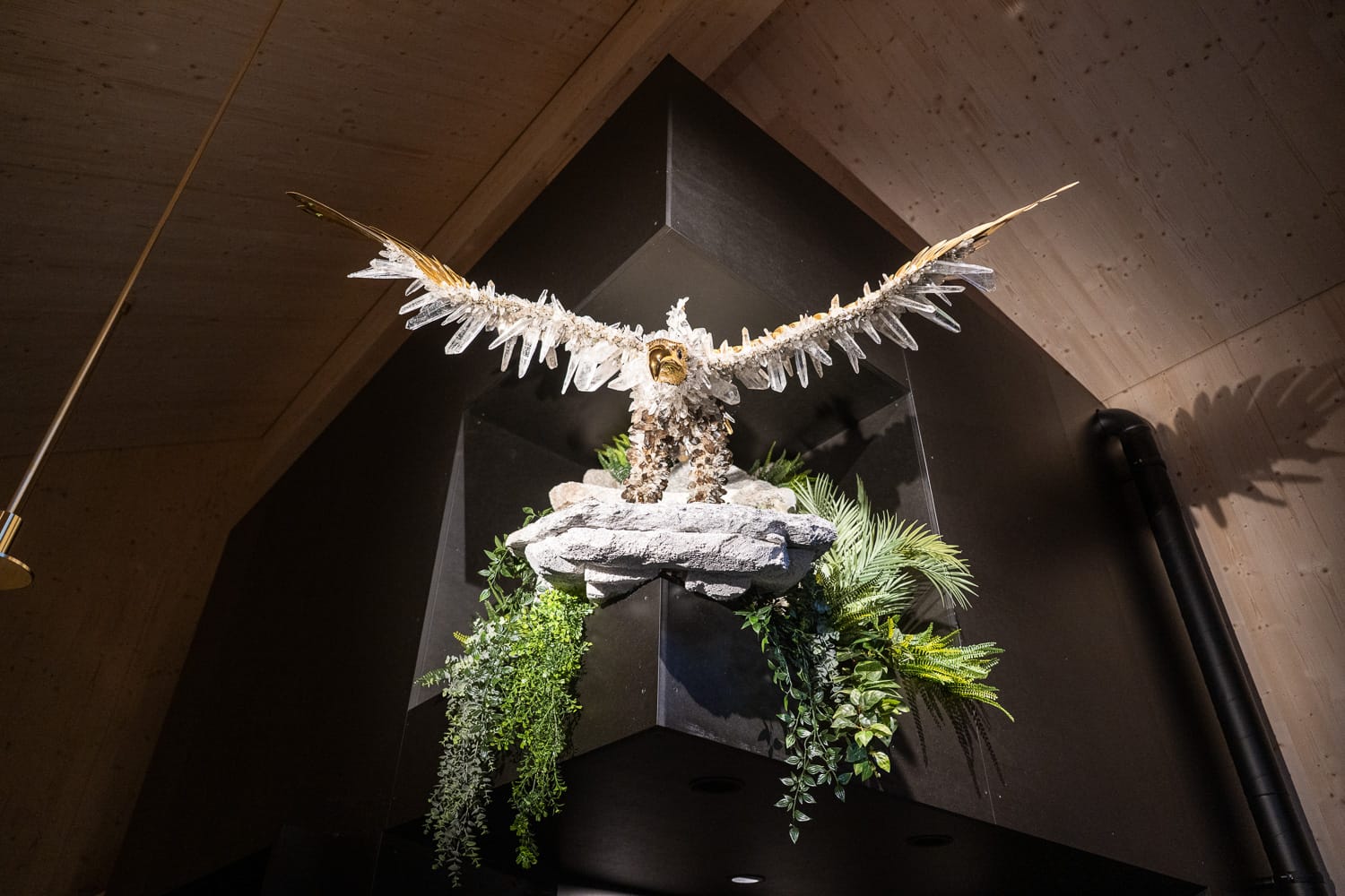 Der Adler begrüsst die Besuchenden